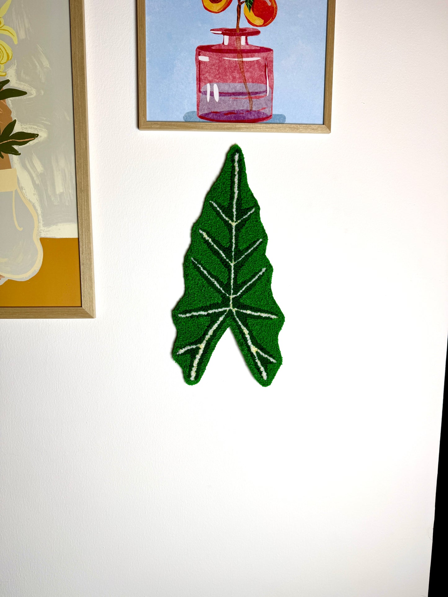Alocasia Blad