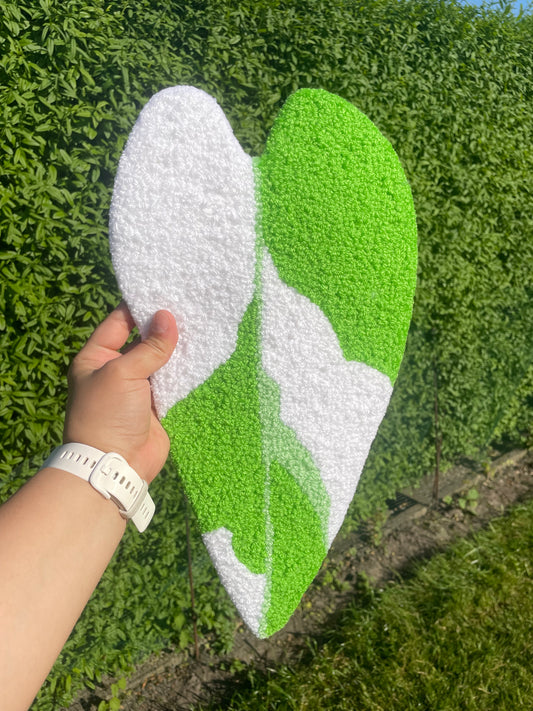 Philodendron Blad (Lysegrøn)