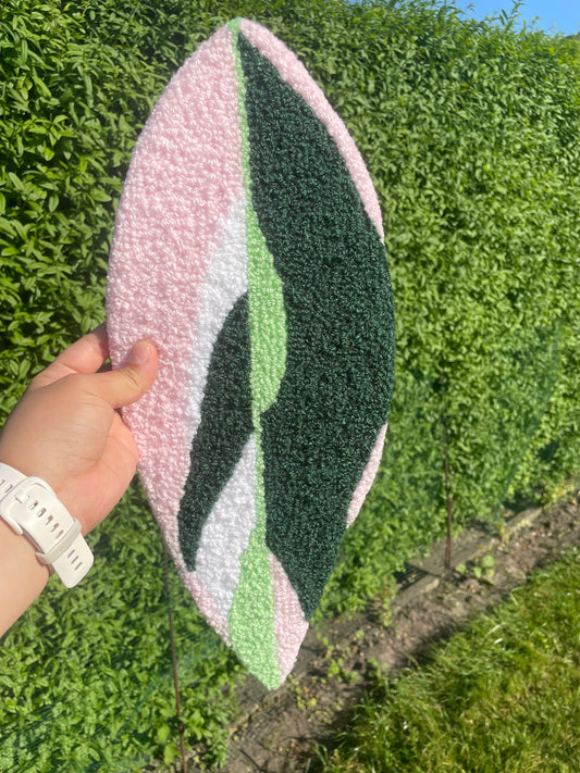 Calathea Triostar Blad