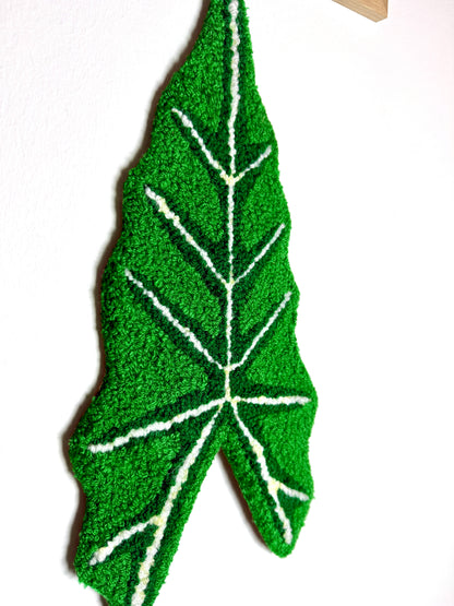 Alocasia Blad