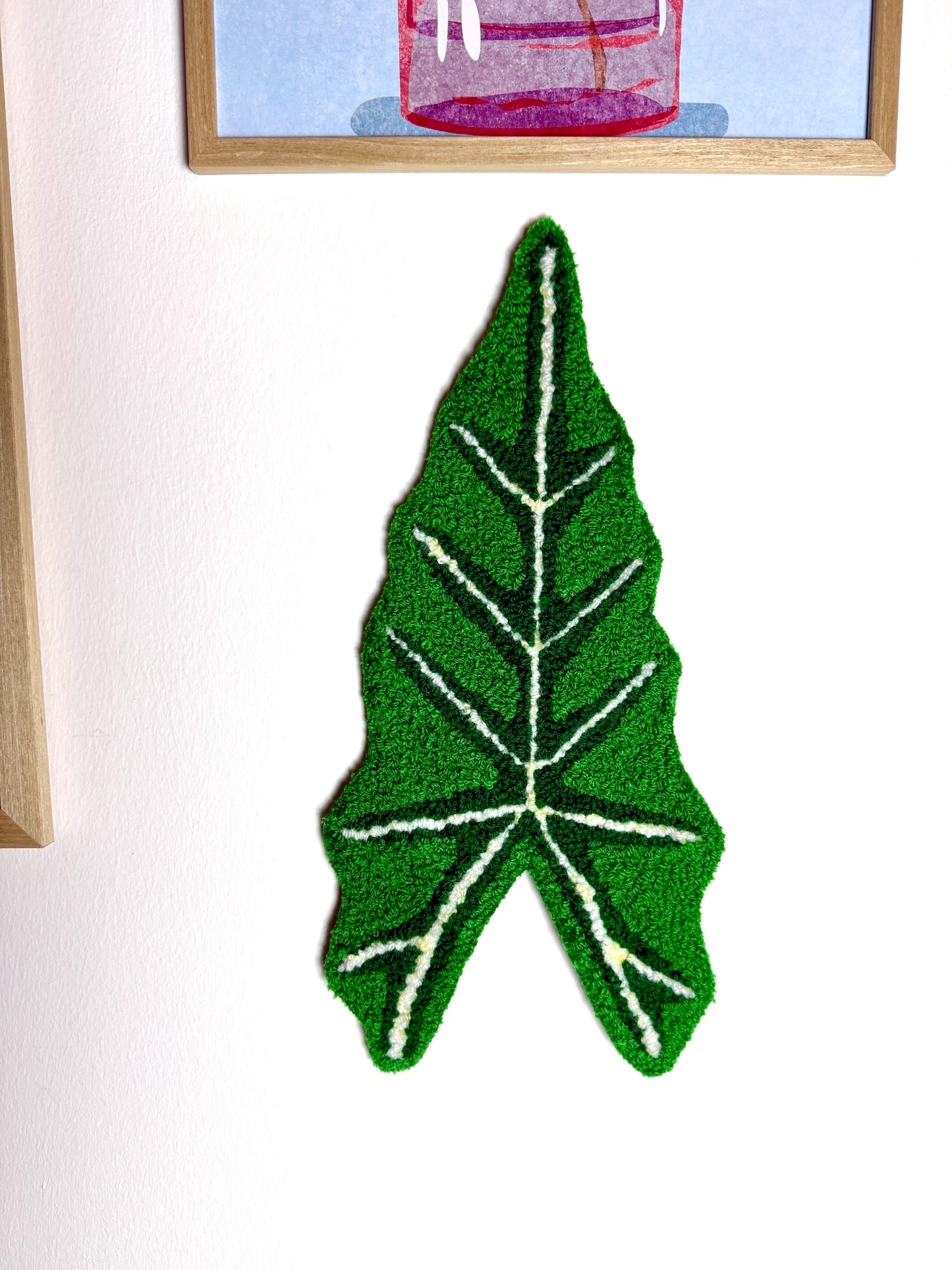 Alocasia Blad