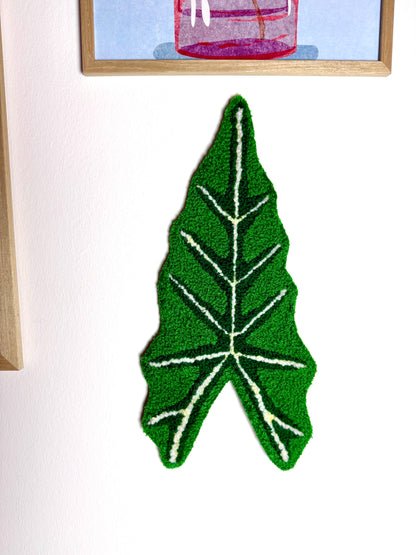 Alocasia Blad