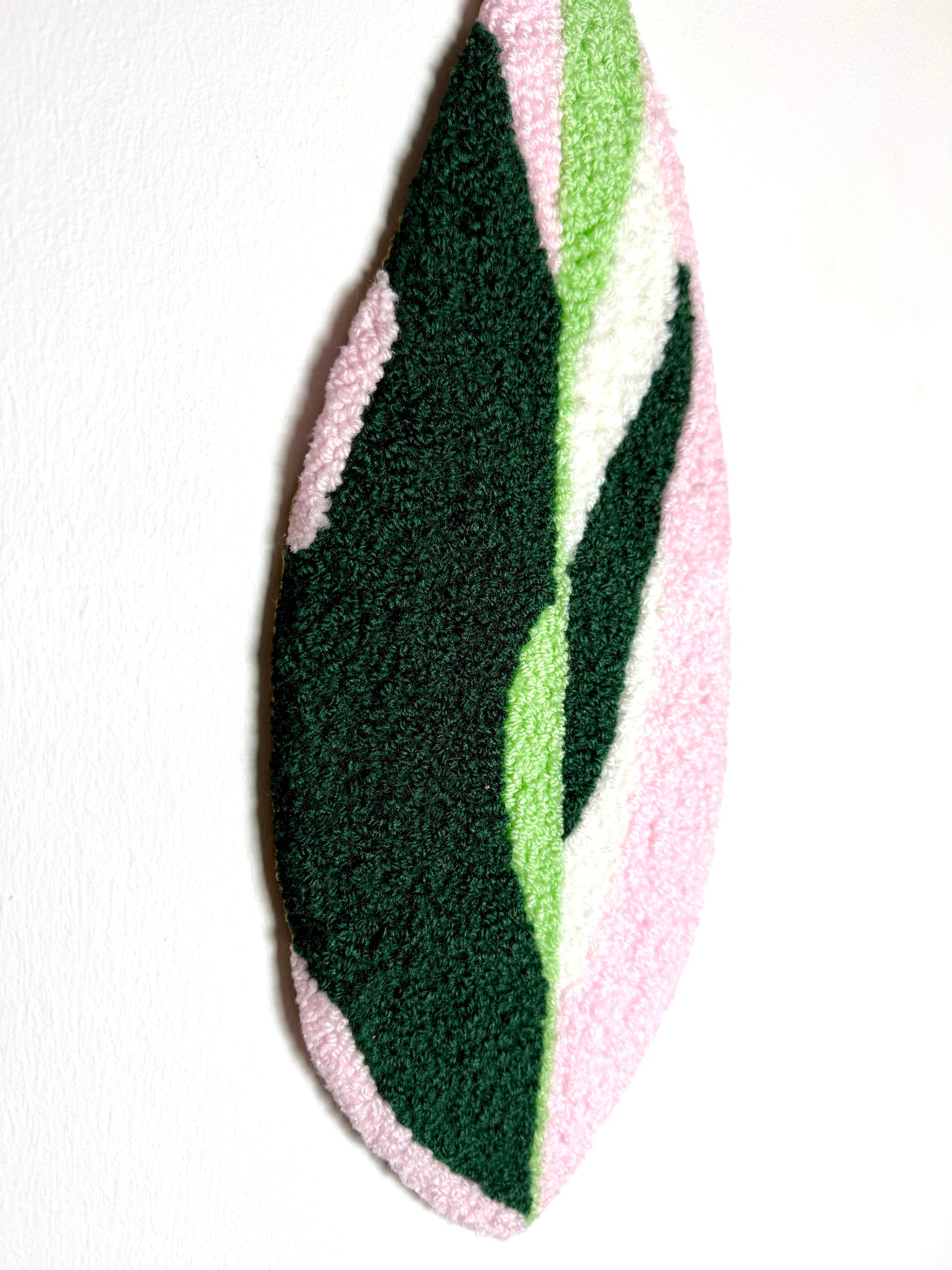 Calathea Triostar Blad