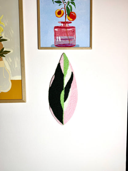 Calathea Triostar Blad